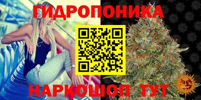 марихуана Ставрополь