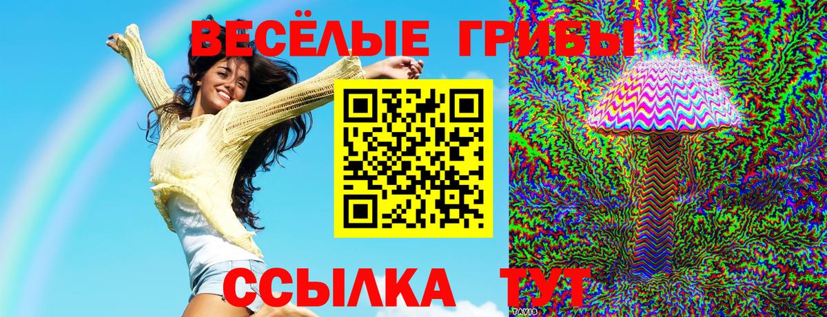 Галлюциногенные грибы прущие грибы  Вход с VPN  Белореченск  Псилоцибиновые грибы Psilocybe 